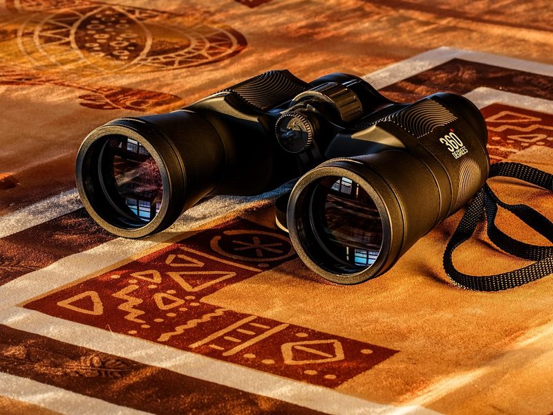 A pair of binoculars resting on a patterned surface