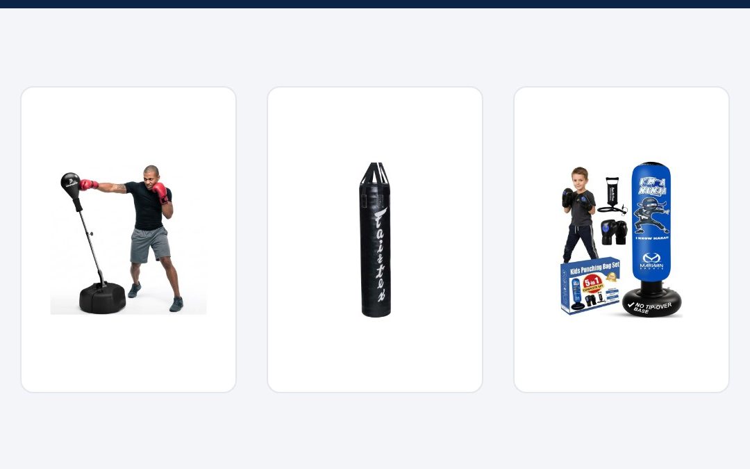 Best punching bags for home