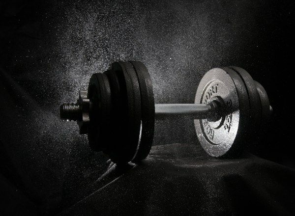Barbell plates in a home gym