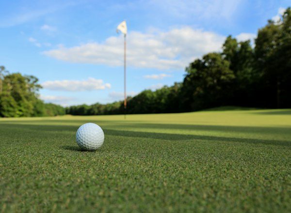 Golf ball on the green