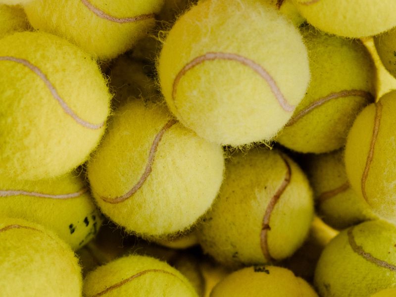 Wilson Championship Extra Duty Tennis Balls, example photo of this product type