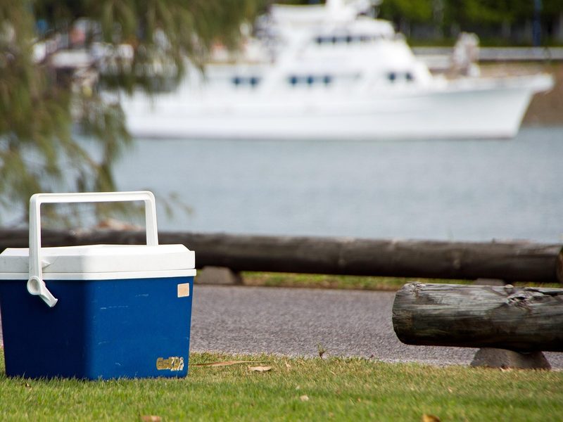 A small hard cooler with a swing-up handle, set on grass