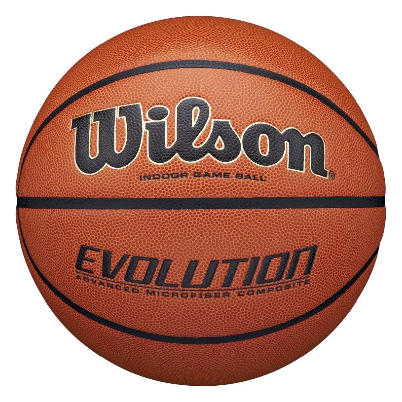 Wilson Evolution indoor basketball