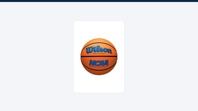 Wilson NCAA Evo NXT basketball