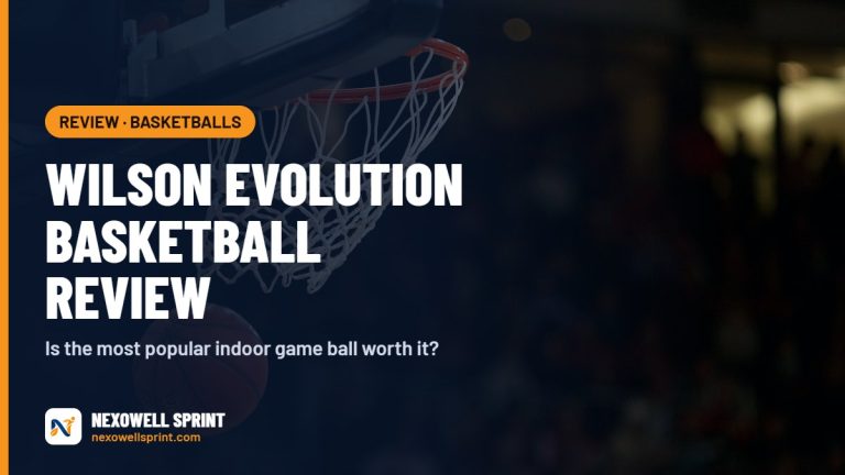 Wilson Evolution Indoor Basketball